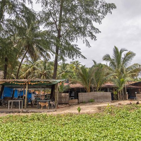 Talpona Beach Studios 卡纳科纳 外观 照片