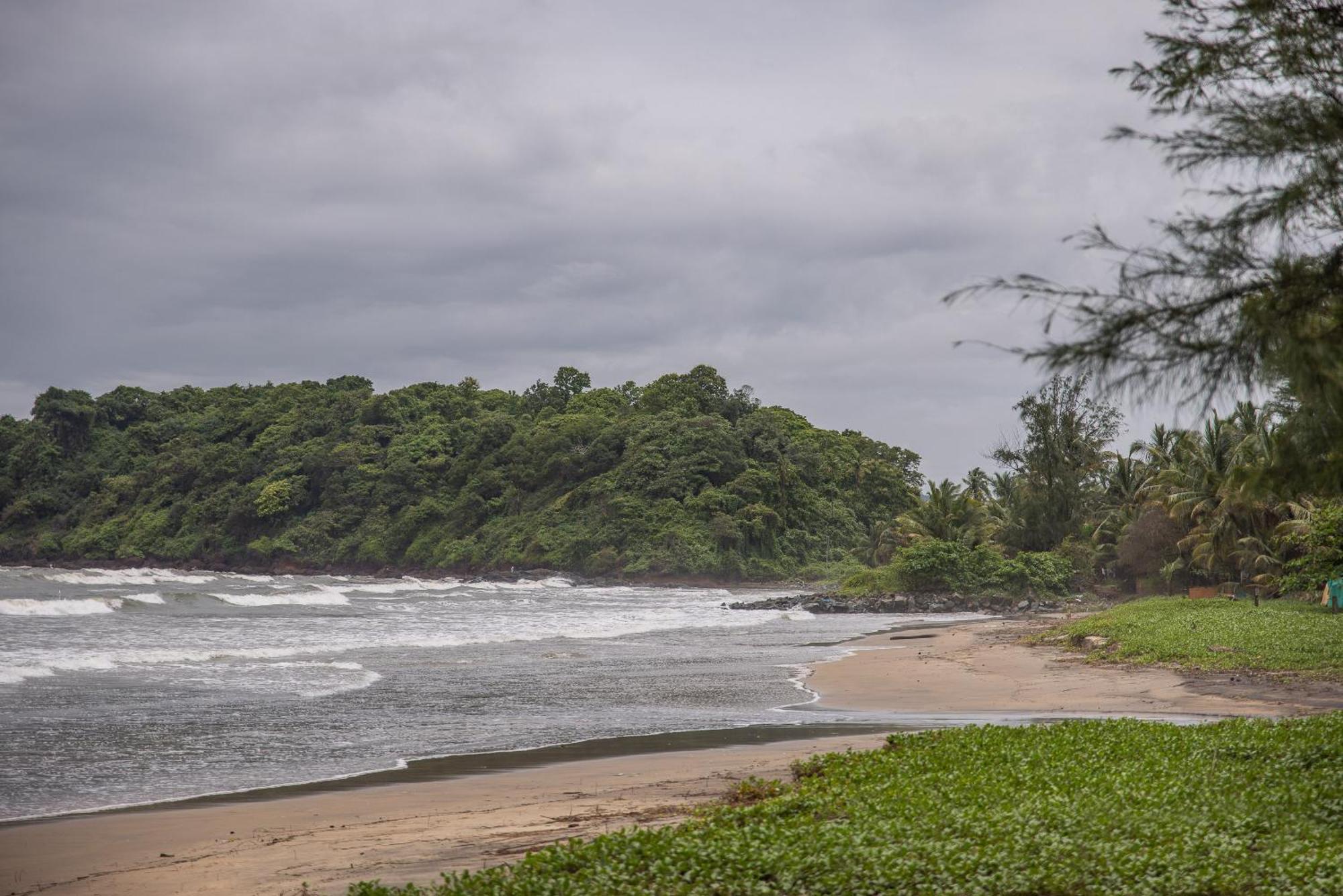 Talpona Beach Studios 卡纳科纳 外观 照片