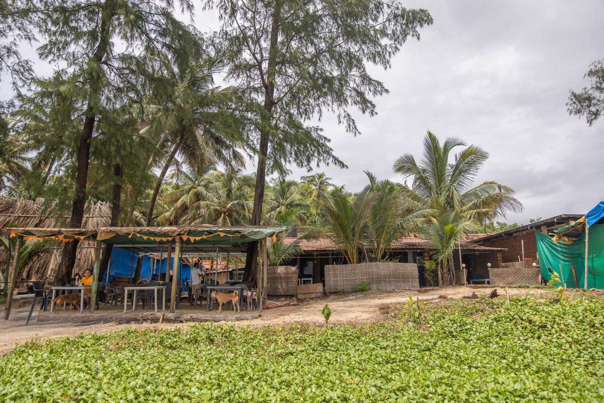 Talpona Beach Studios 卡纳科纳 外观 照片